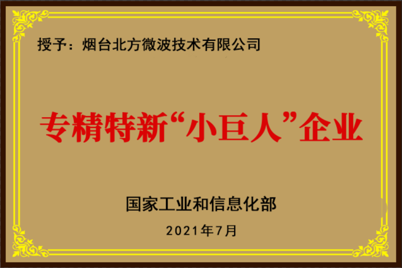 专精特新”小巨人“企业