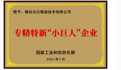 专精特新”小巨人“企业