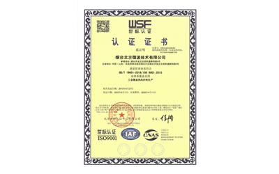 质量管理体系（中文正本）
