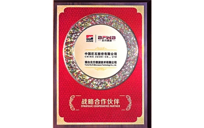 中国巨石战略合作伙伴