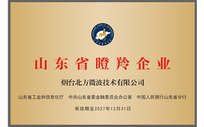 山东省瞪羚企业